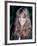 Actress Heather Locklear-David Mcgough-Framed Premium Photographic Print