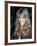 Actress Heather Locklear-David Mcgough-Framed Premium Photographic Print