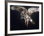 Actress Jane Fonda Being Carried by Guardian Angel in a Scene from Roger Vadim's Film "Barbarella"-Carlo Bavagnoli-Framed Premium Photographic Print