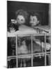 Actress Joan Fontaine with Actress Sister Olivia de Havilland Looking Out of Open Window at Home-Bob Landry-Mounted Premium Photographic Print