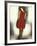 Actress Laetitia Casta-Marion Curtis-Framed Premium Photographic Print