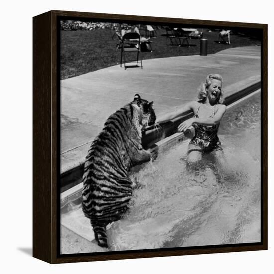 Actress Marilyn Maxwell Playing with a Tiger in a Pool-Allan Grant-Framed Premier Image Canvas