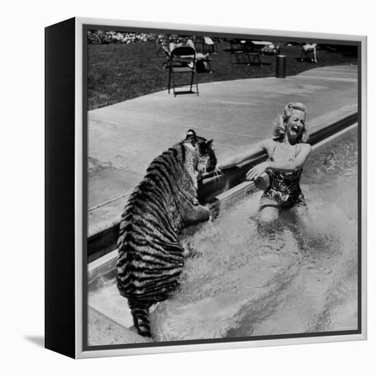 Actress Marilyn Maxwell Playing with a Tiger in a Pool-Allan Grant-Framed Premier Image Canvas