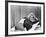 Actress Marilyn Monroe at Home-Alfred Eisenstaedt-Framed Premium Photographic Print