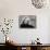 Actress Marilyn Monroe-Alfred Eisenstaedt-Framed Premier Image Canvas displayed on a wall