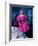 Actress Morgan Fairchild Wearing Pink Dress, Reflected by Mirror-David Mcgough-Framed Premium Photographic Print