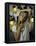 Actress Peggy Lipton-Vernon Merritt III-Framed Premier Image Canvas