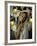 Actress Peggy Lipton-Vernon Merritt III-Framed Premium Photographic Print