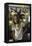 Actress Peggy Lipton-Vernon Merritt III-Framed Premier Image Canvas