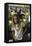 Actress Peggy Lipton-Vernon Merritt III-Framed Premier Image Canvas