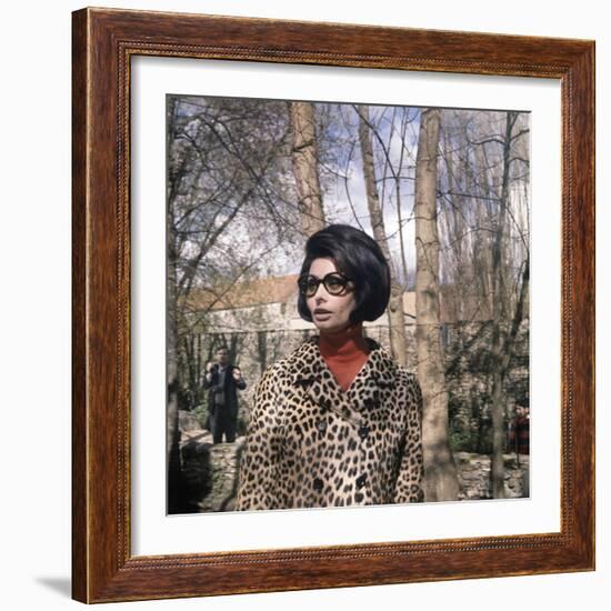 Actress Sophia Loren, 1966-null-Framed Photo