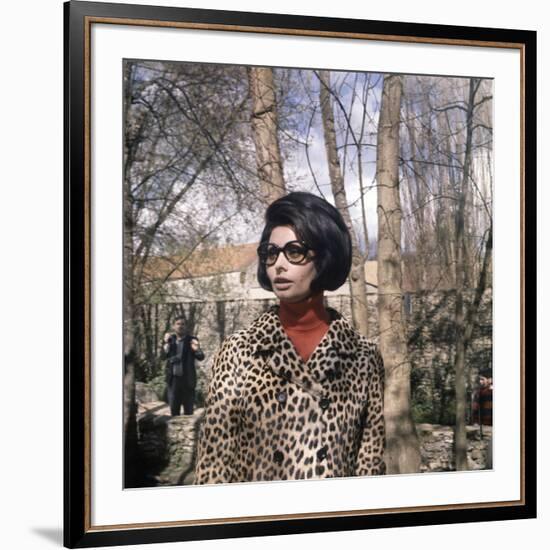 Actress Sophia Loren, 1966-null-Framed Photo