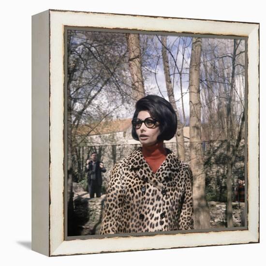 Actress Sophia Loren, 1966-null-Framed Stretched Canvas