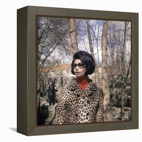 Actress Sophia Loren, 1966-null-Framed Stretched Canvas