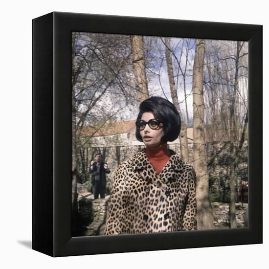 Actress Sophia Loren, 1966-null-Framed Stretched Canvas