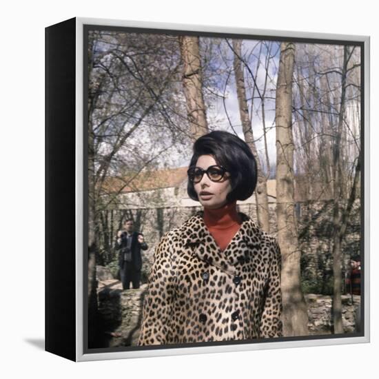 Actress Sophia Loren, 1966-null-Framed Stretched Canvas