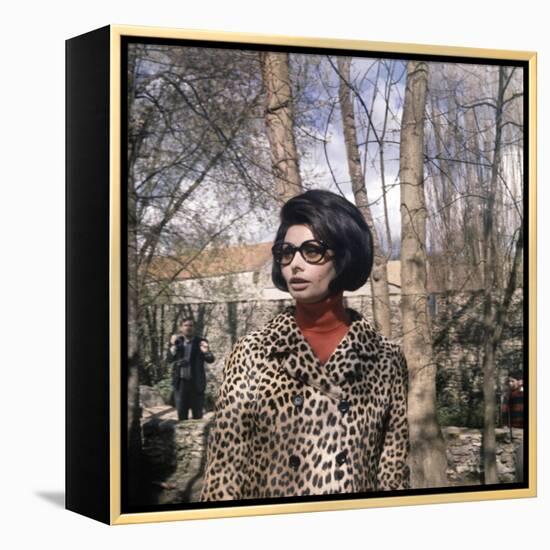 Actress Sophia Loren, 1966-null-Framed Stretched Canvas