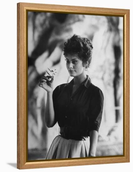 Actress Sophia Loren Examining a Tiny Flower Outside-Alfred Eisenstaedt-Framed Premier Image Canvas