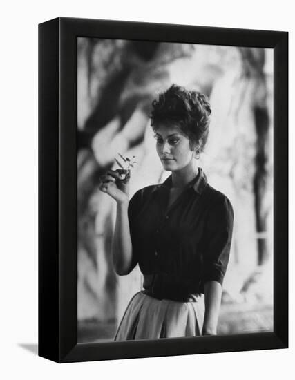 Actress Sophia Loren Examining a Tiny Flower Outside-Alfred Eisenstaedt-Framed Premier Image Canvas