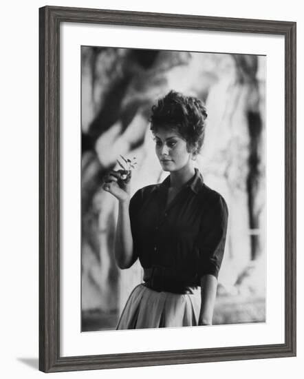 Actress Sophia Loren Examining a Tiny Flower Outside-Alfred Eisenstaedt-Framed Premium Photographic Print