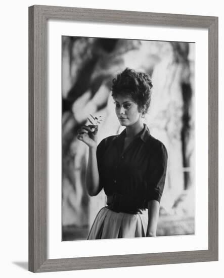 Actress Sophia Loren Examining a Tiny Flower Outside-Alfred Eisenstaedt-Framed Premium Photographic Print