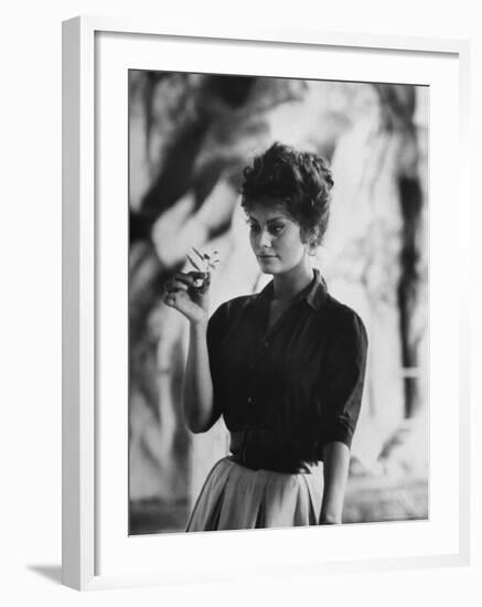 Actress Sophia Loren Examining a Tiny Flower Outside-Alfred Eisenstaedt-Framed Premium Photographic Print