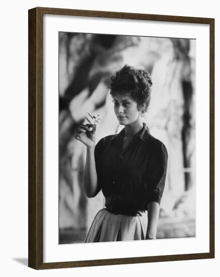 Actress Sophia Loren Examining a Tiny Flower Outside-Alfred Eisenstaedt-Framed Premium Photographic Print