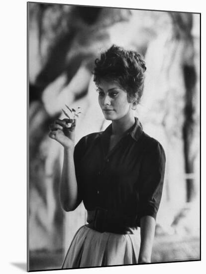 Actress Sophia Loren Examining a Tiny Flower Outside-Alfred Eisenstaedt-Mounted Premium Photographic Print