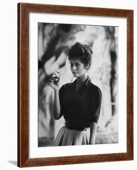 Actress Sophia Loren Examining a Tiny Flower Outside-Alfred Eisenstaedt-Framed Premium Photographic Print