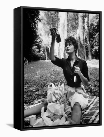 Actress Sophia Loren Examining Contents of Bottle During Location Filming of "Madame Sans Gene"-Alfred Eisenstaedt-Framed Premier Image Canvas