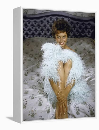 Actress Sophia Loren Wearing Feather Boa Posing in Her Bedroom-Loomis Dean-Framed Premier Image Canvas