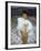 Actress Sophia Loren Wearing Feather Boa Posing in Her Bedroom-Loomis Dean-Framed Premium Photographic Print