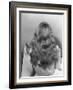 Actress Veronica Lake Posing with Her Glorious, Wavy Honey Blond Hair Cascading over Her Shoulders-Bob Landry-Framed Premium Photographic Print