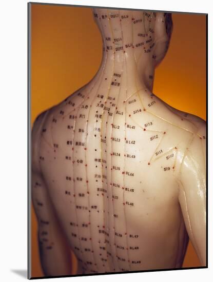 Acupuncture Model-Lawrence Lawry-Mounted Photographic Print