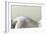 Acupuncture on Woman's Back, Artwork-Christian Darkin-Framed Photographic Print