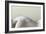 Acupuncture on Woman's Back, Artwork-Christian Darkin-Framed Photographic Print