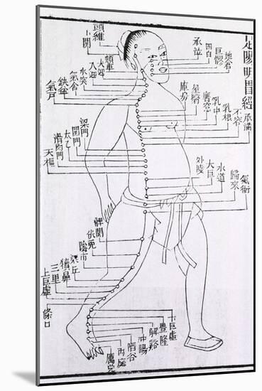 Acupuncture Points and Meridian for Stomach and Foot Disorders, 1875-null-Mounted Art Print