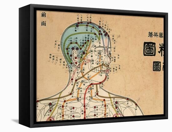 Acupuncture Points and Meridians of Human Body-null-Framed Premier Image Canvas