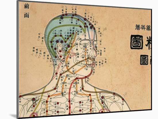 Acupuncture Points and Meridians of Human Body-null-Mounted Giclee Print