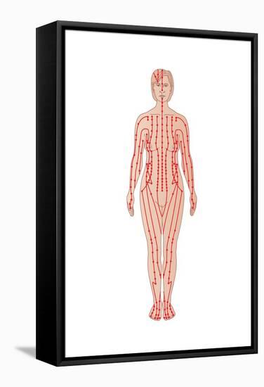 Acupuncture Points, Artwork-Peter Gardiner-Framed Premier Image Canvas