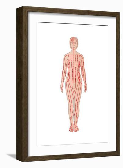 Acupuncture Points, Artwork-Peter Gardiner-Framed Photographic Print