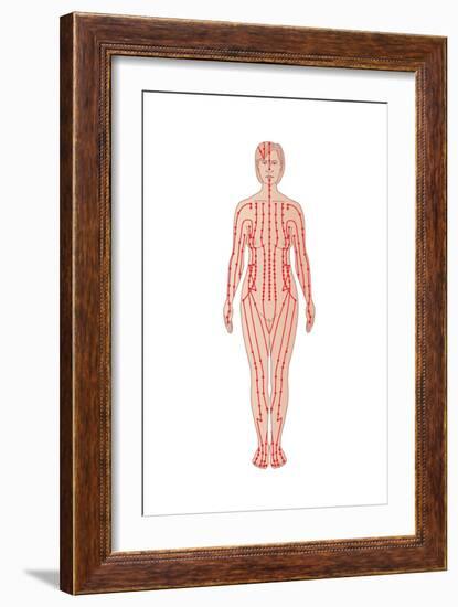 Acupuncture Points, Artwork-Peter Gardiner-Framed Photographic Print