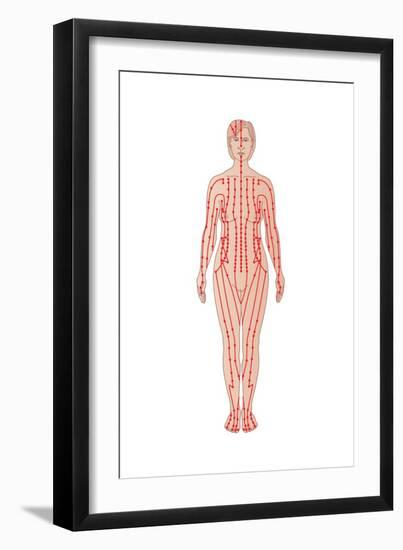 Acupuncture Points, Artwork-Peter Gardiner-Framed Photographic Print