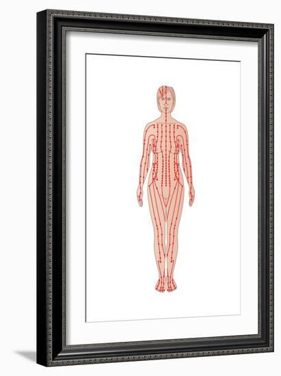 Acupuncture Points, Artwork-Peter Gardiner-Framed Photographic Print