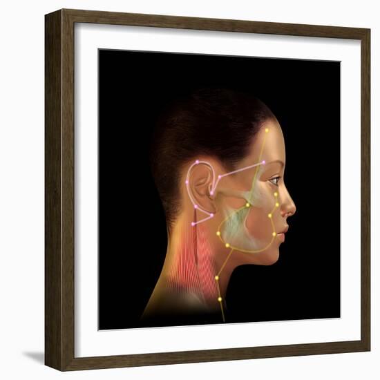 Acupuncture Points-David Gifford-Framed Premium Photographic Print