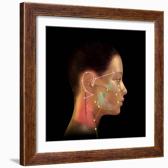 Acupuncture Points-David Gifford-Framed Premium Photographic Print