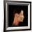 Acupuncture Points-David Gifford-Framed Premium Photographic Print