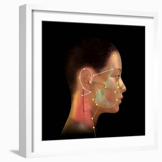 Acupuncture Points-David Gifford-Framed Premium Photographic Print