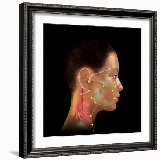 Acupuncture Points-David Gifford-Framed Premium Photographic Print