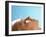 Acupuncture-Mauro Fermariello-Framed Photographic Print